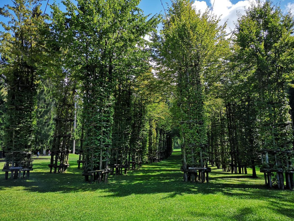 Appartamento Il Riccio del Castagno Novaledo Esterno foto