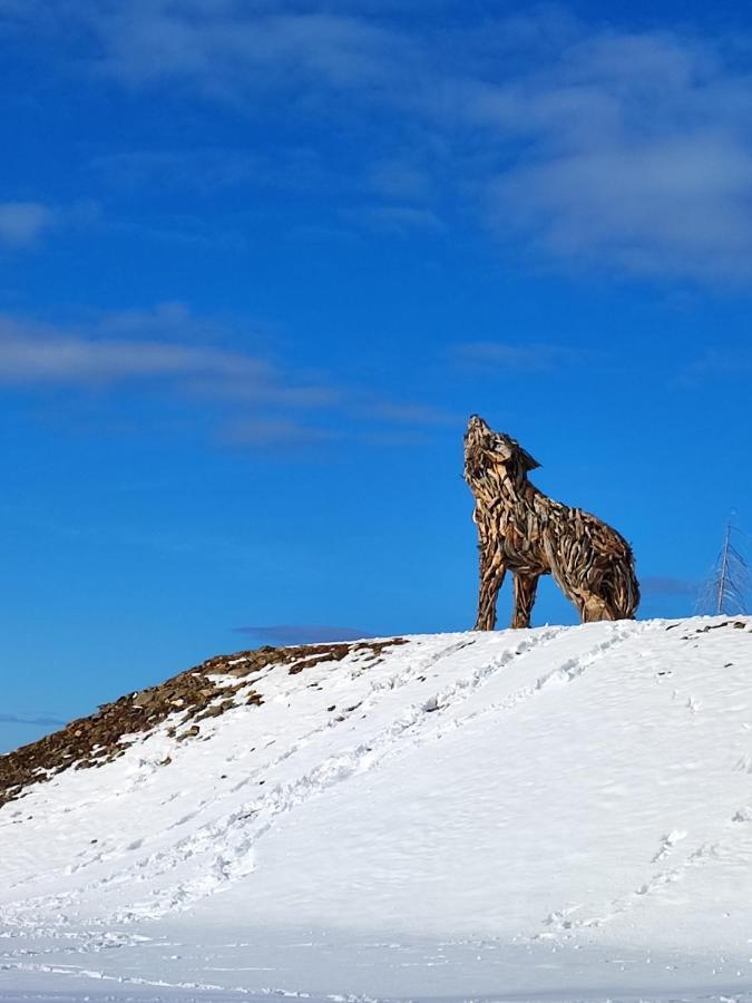 Appartamento Il Riccio del Castagno Novaledo Esterno foto