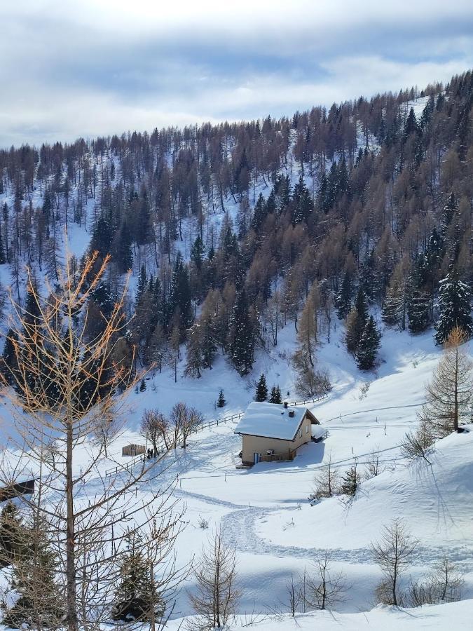 Appartamento Il Riccio del Castagno Novaledo Esterno foto