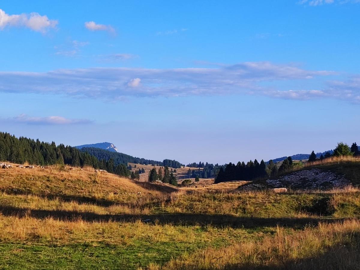 Appartamento Il Riccio del Castagno Novaledo Esterno foto