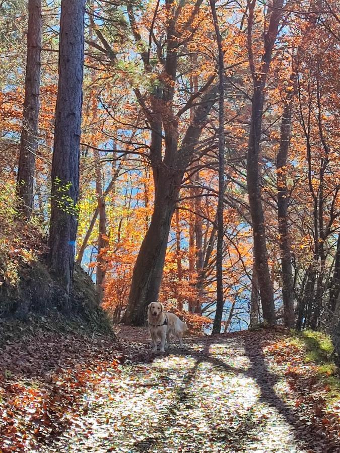 Appartamento Il Riccio del Castagno Novaledo Esterno foto