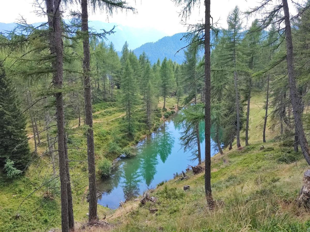 Appartamento Il Riccio del Castagno Novaledo Esterno foto