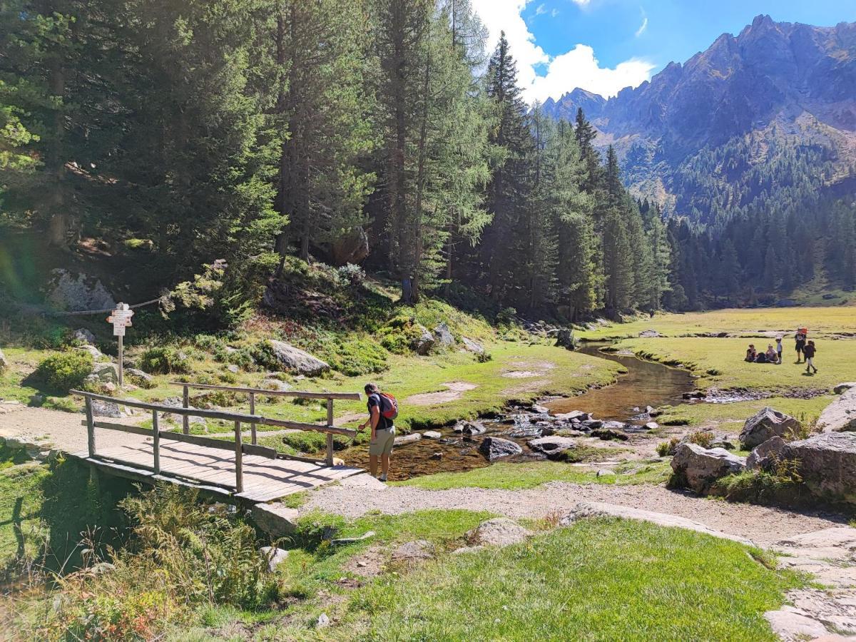 Appartamento Il Riccio del Castagno Novaledo Esterno foto