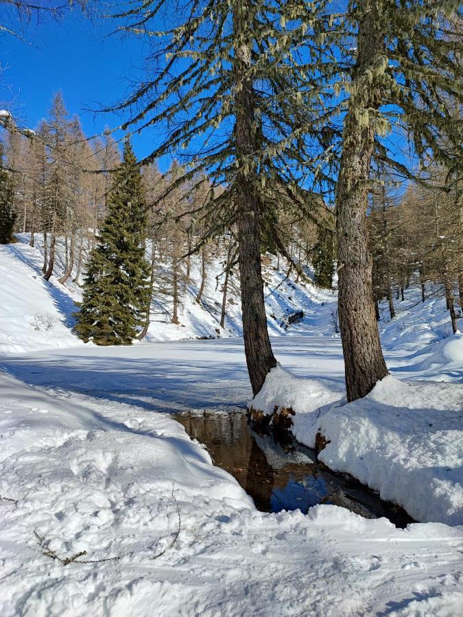 Appartamento Il Riccio del Castagno Novaledo Esterno foto