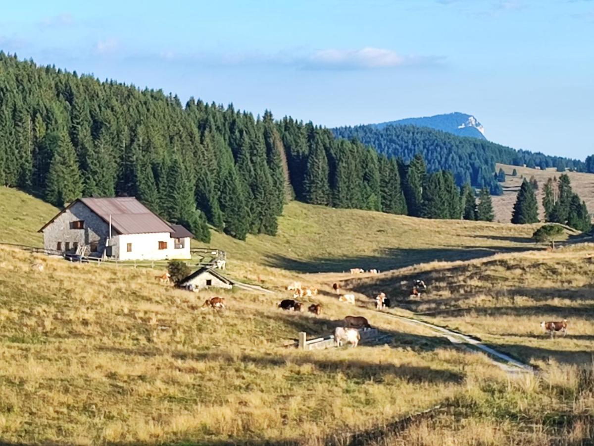 Appartamento Il Riccio del Castagno Novaledo Esterno foto